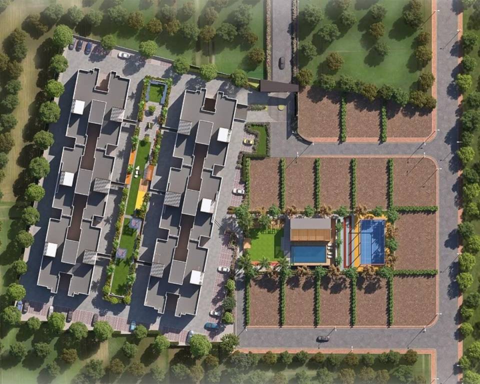  exotica phase ii Elevation