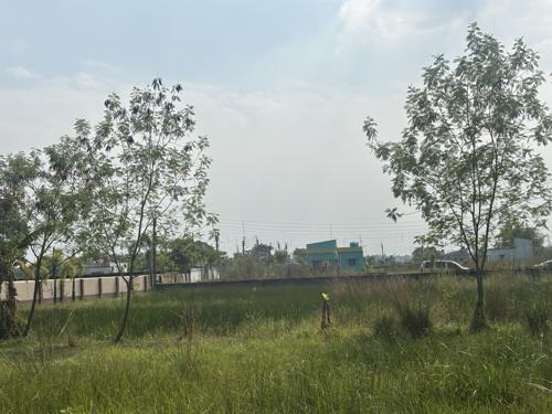 main of Sweep Dream City