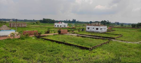  dream-city Elevation