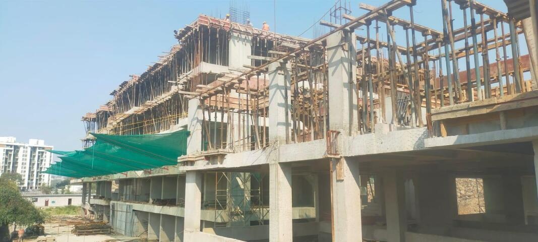  basil flora A Construction Status July 24