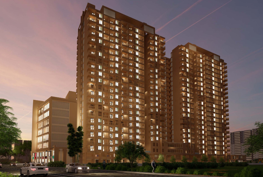  basil flora Elevation