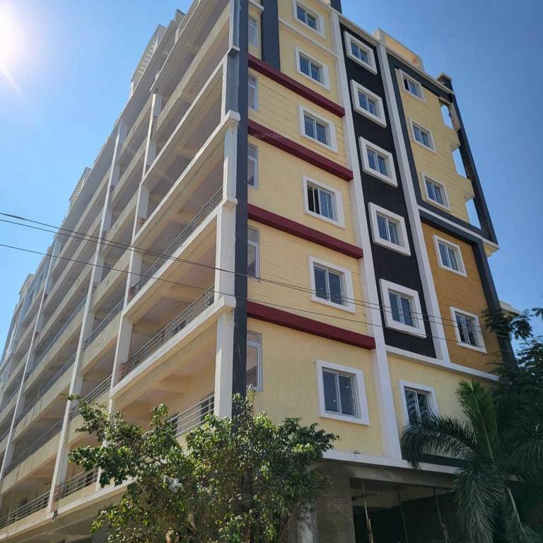 Elevation  hyma arcade Elevation