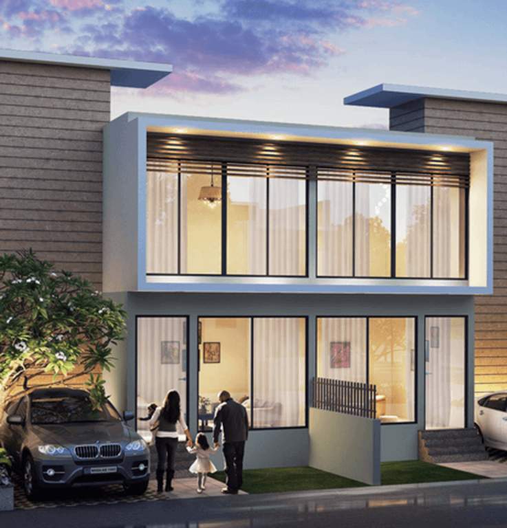  geras planet of joy project iii Others