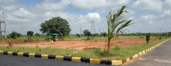  dream-valley Elevation