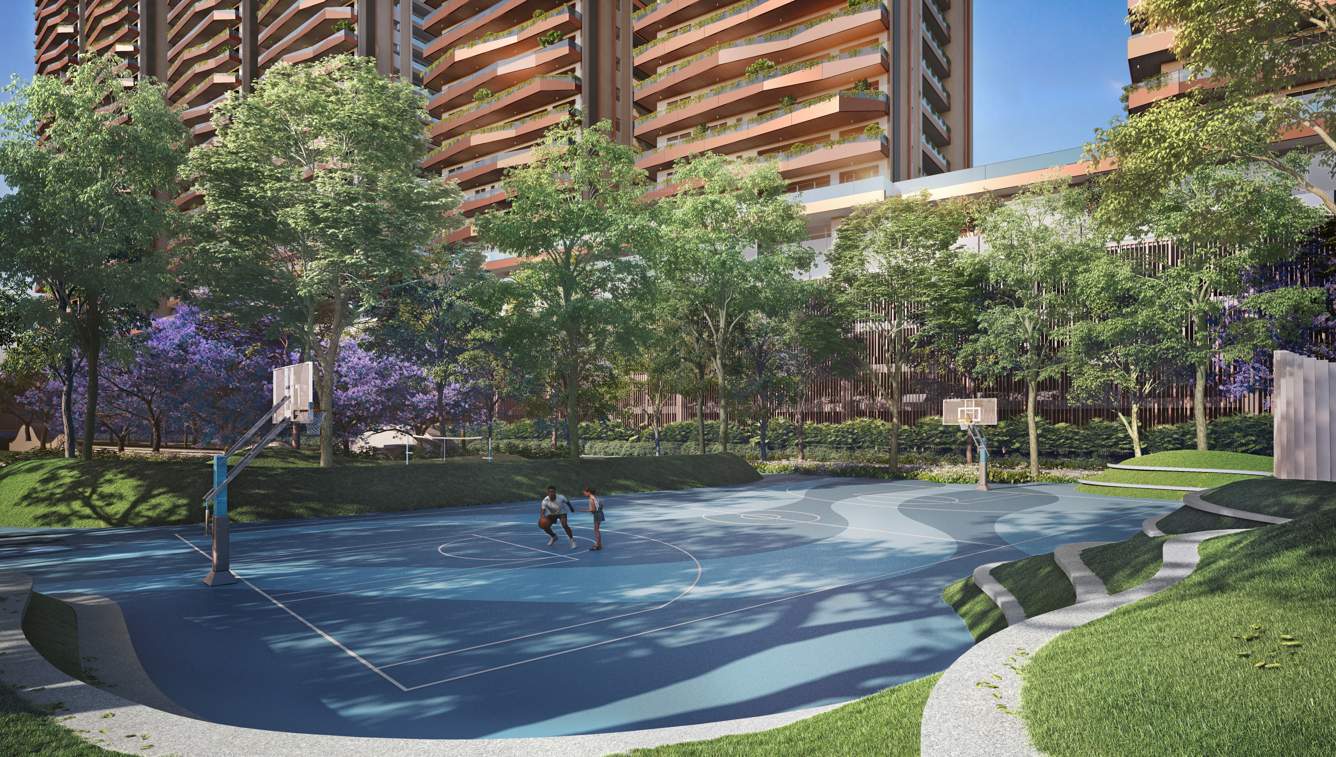  vantage Basketball Court