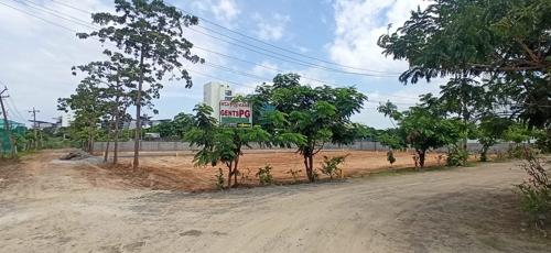  juliet-gardens Landscape Garden and Tree Planting