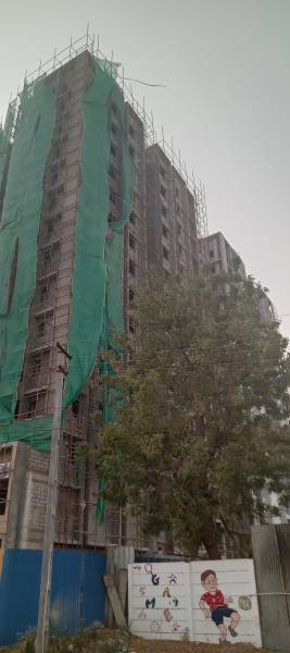  serene-sparkles Block A Construction Status Dec-24