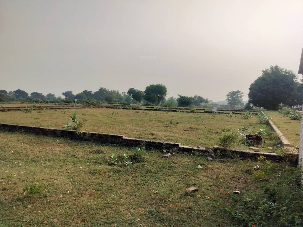  unite vatican city Plot