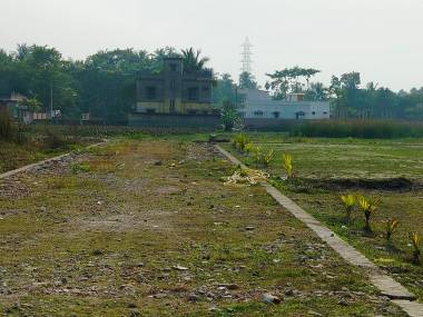 Elevation  taramaa Elevation