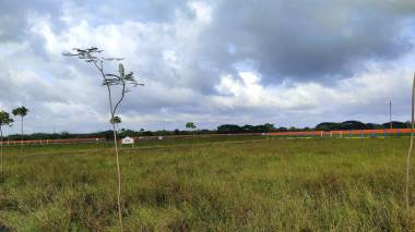  sri-sai-city Elevation