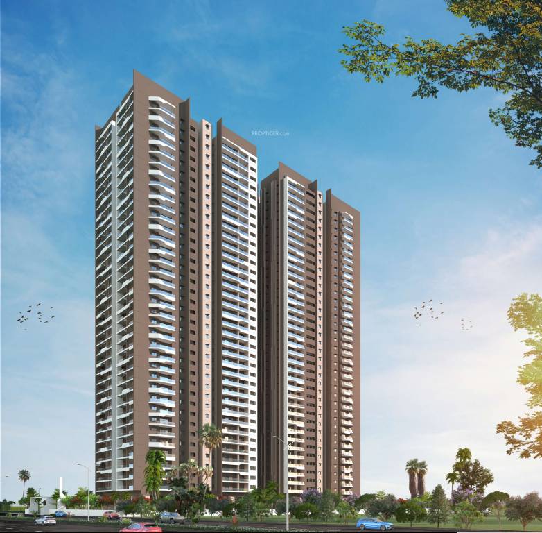 Elevation dsr valar Elevation