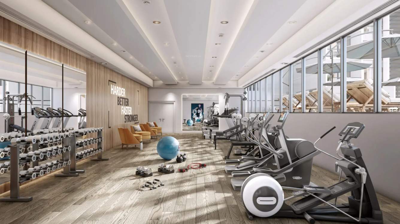  high garden Gymnasium