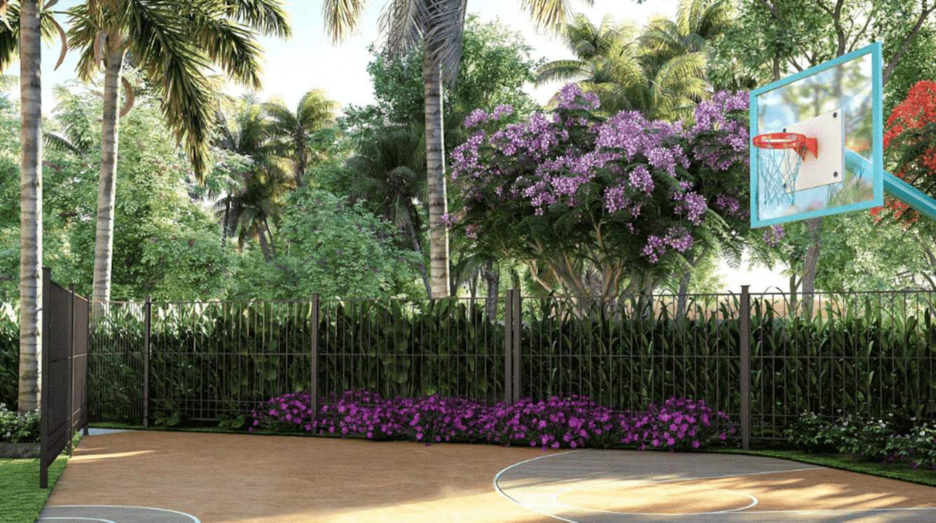  hariharas sri sai kakatiya Basketball Court