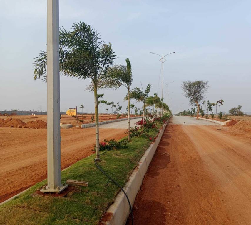  mercury township Plot