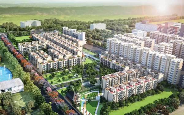  flora-avenue-88a Elevation