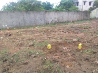 Project Image Project Image