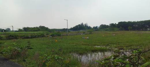 sai-mangal-avenue Elevation Elevation