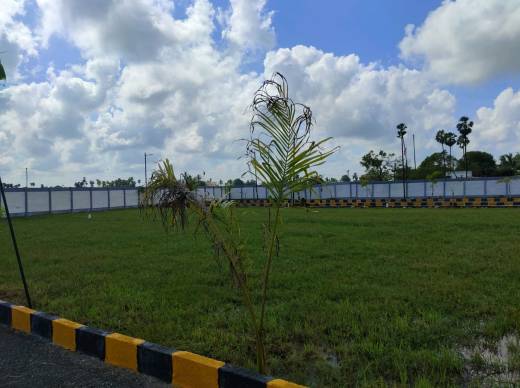 wonder-city Elevation Elevation