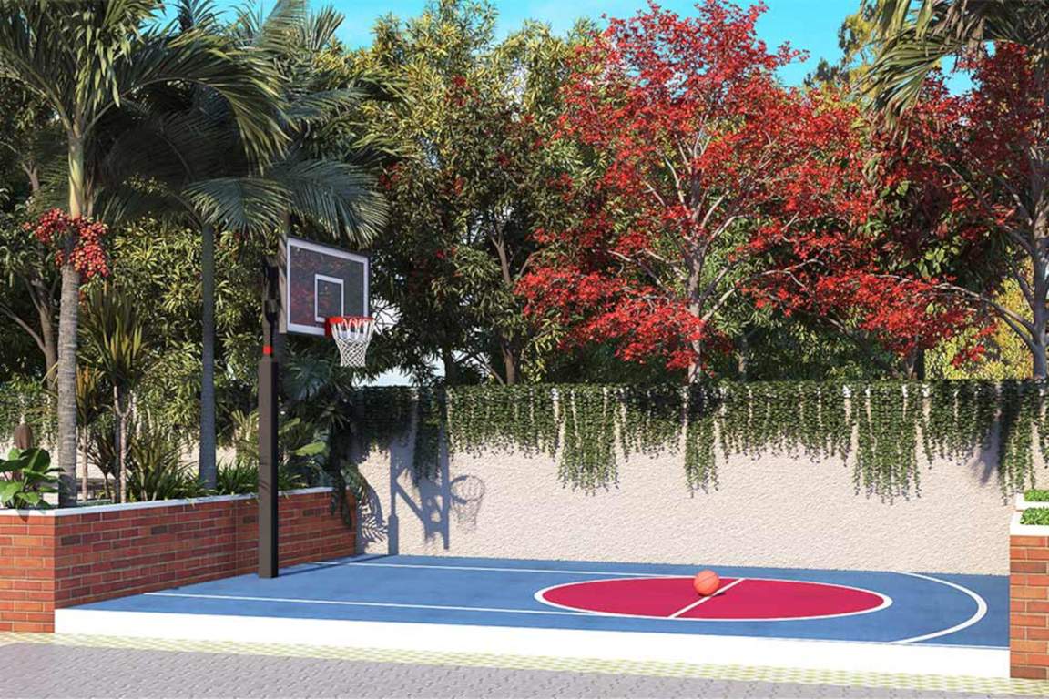  mascot 2 Basketball Court