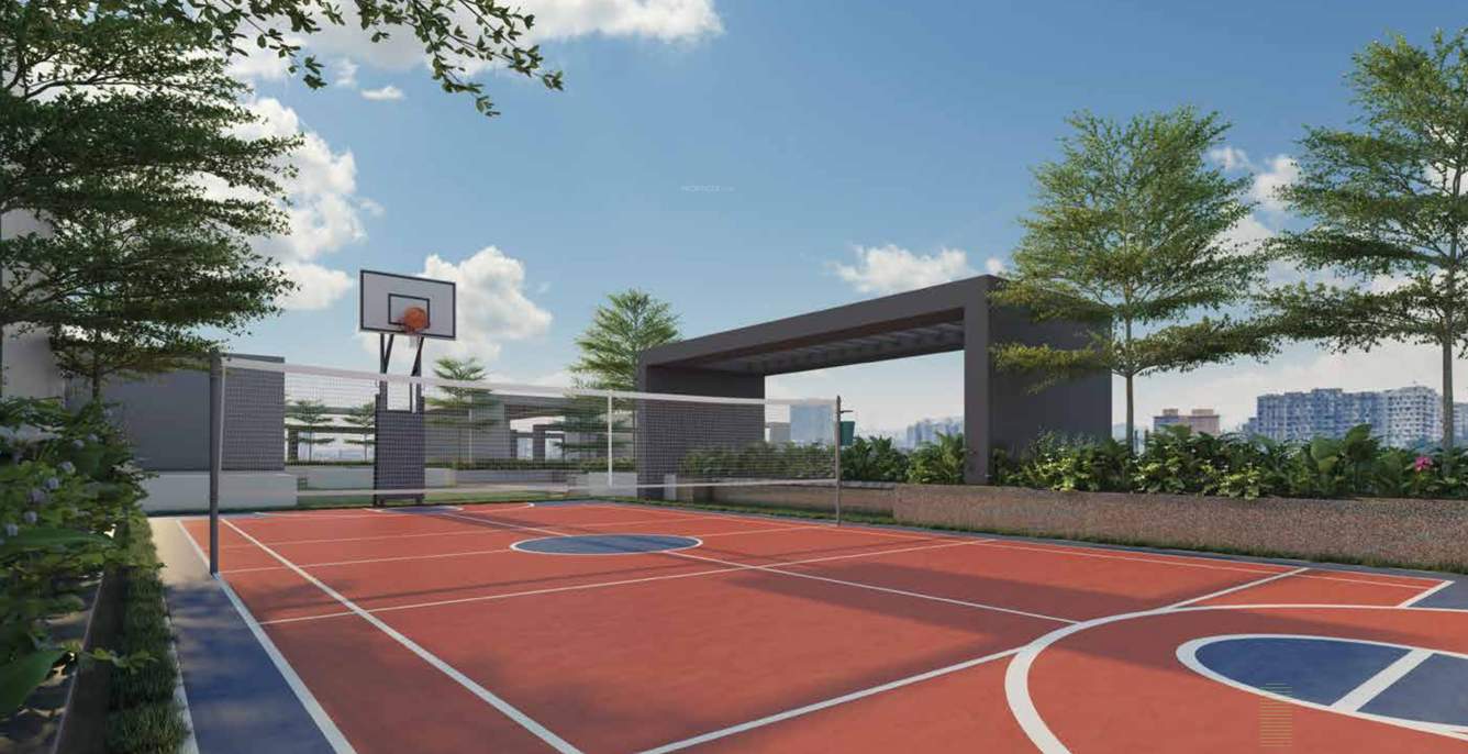  nevada Basketball Court