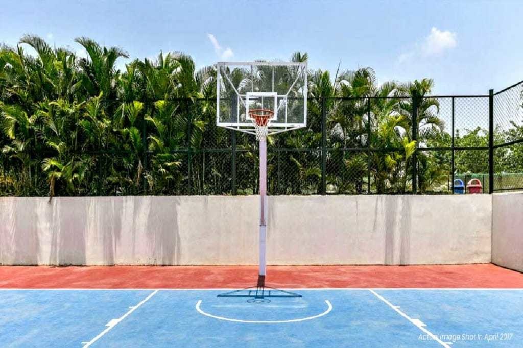  new haven bengaluru Others