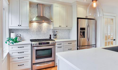  gopinath-apartment Kitchen