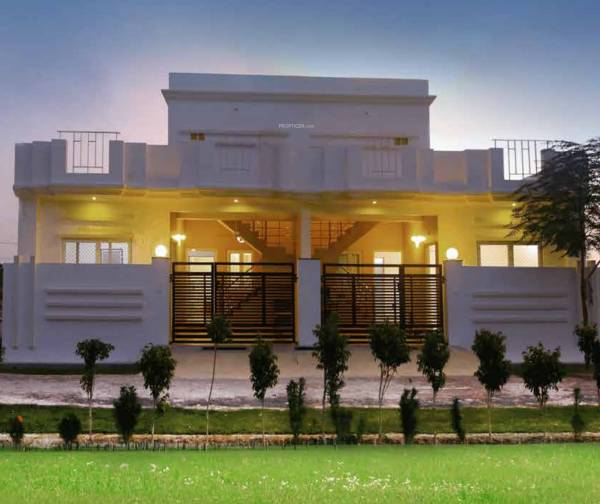  south-avenue Elevation