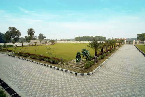  south-avenue Landscape Garden and Tree Planting