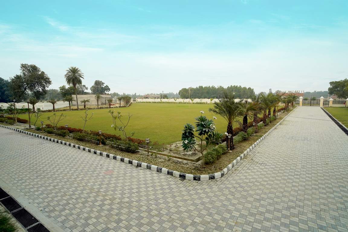  south avenue Landscape Garden and Tree Planting