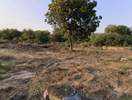 Rohini Plots