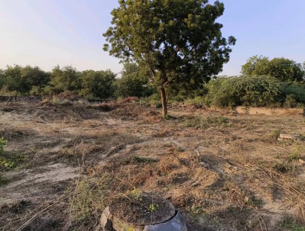 Elevation rohini-plots Elevation