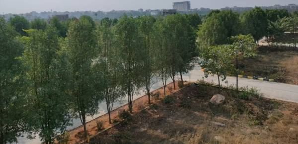 Plot vanora-abodes Plot