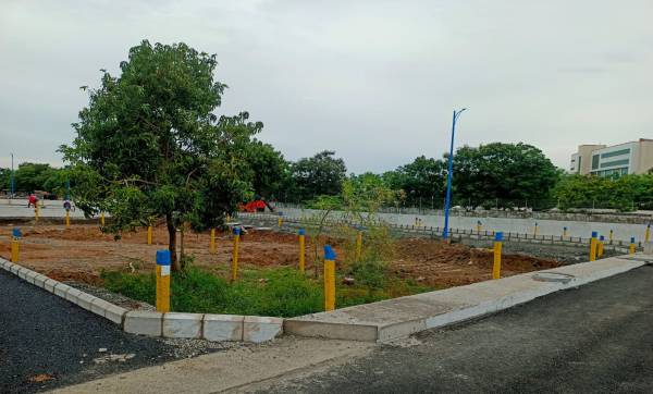  tvh-bloom-phase-iii Elevation