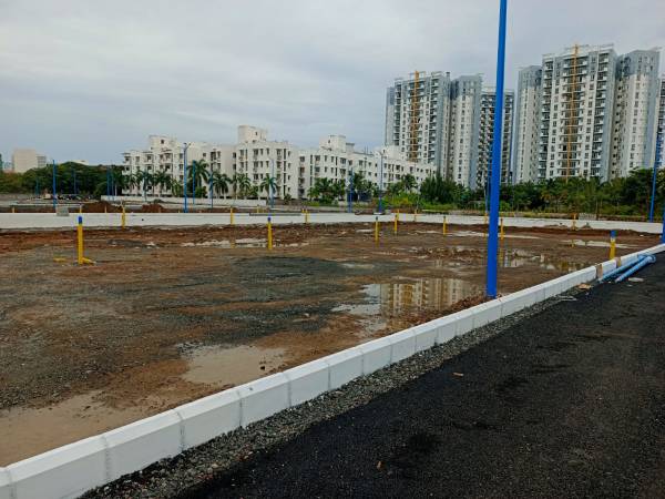  tvh-bloom-phase-iii Plot