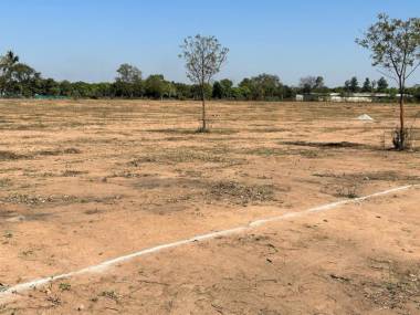  habitat-silver-oak Elevation