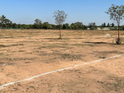  habitat-silver-oak Elevation