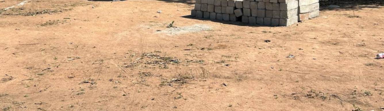  habitat silver oak Plot
