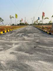 Project Image Project Image