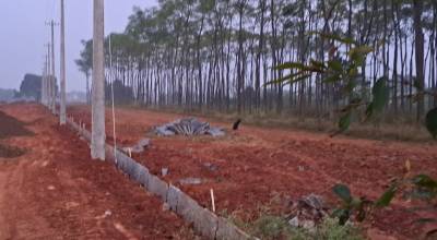  shree-annapurneshwari-layout Plot