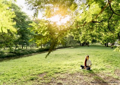  phoenix Landscape Garden and Tree Planting