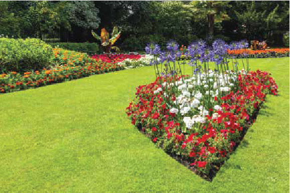 Fia Eklavya Building No 1 Type A