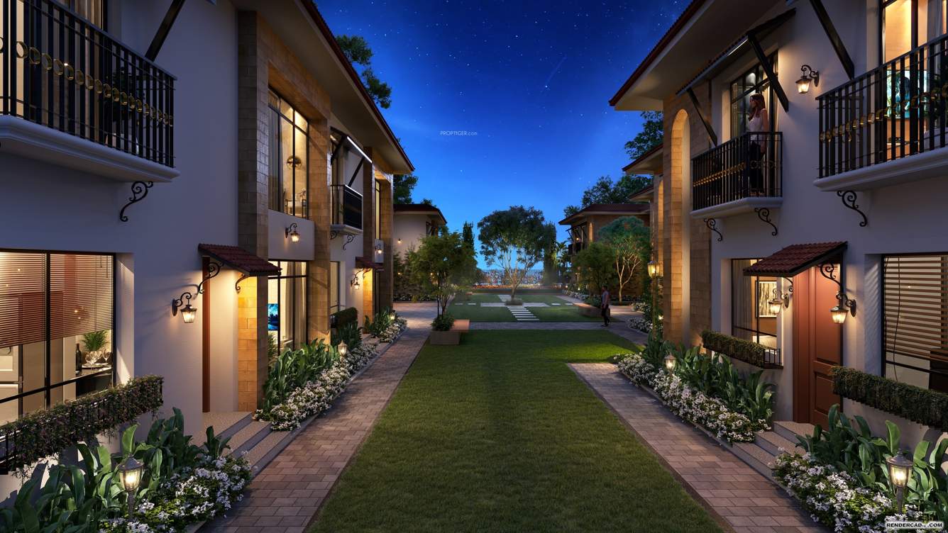  the cove Landscape Garden and Tree Planting