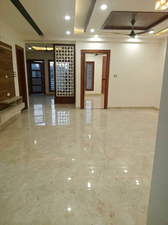  luxury floor Living Area