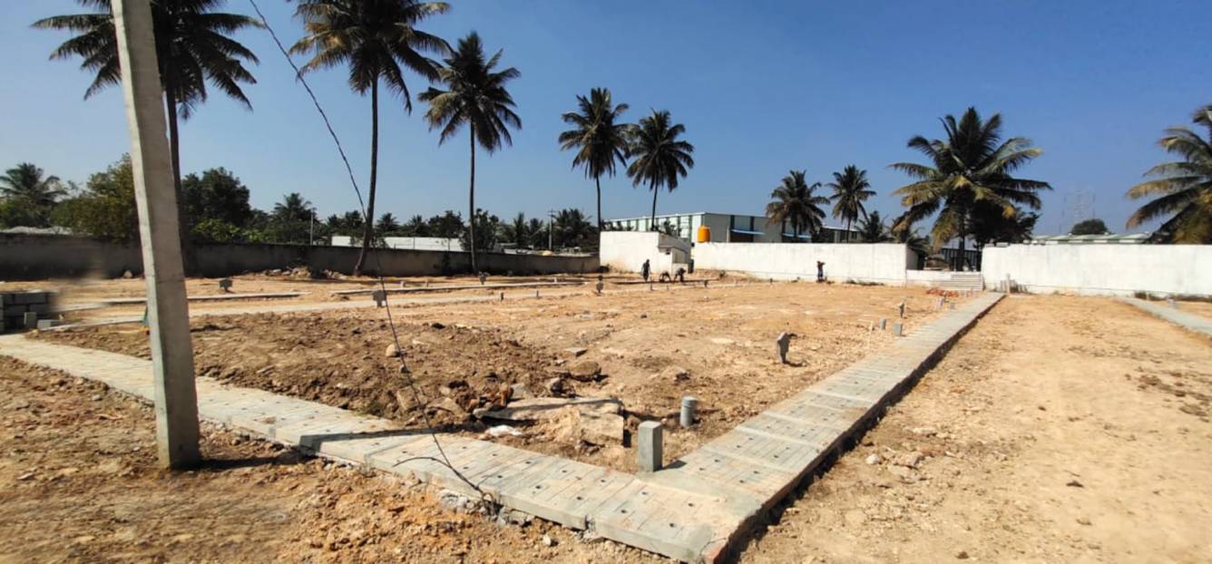  popular ventures Elevation