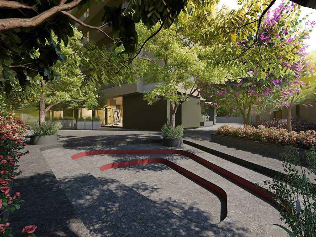  amaryllis Amphitheater