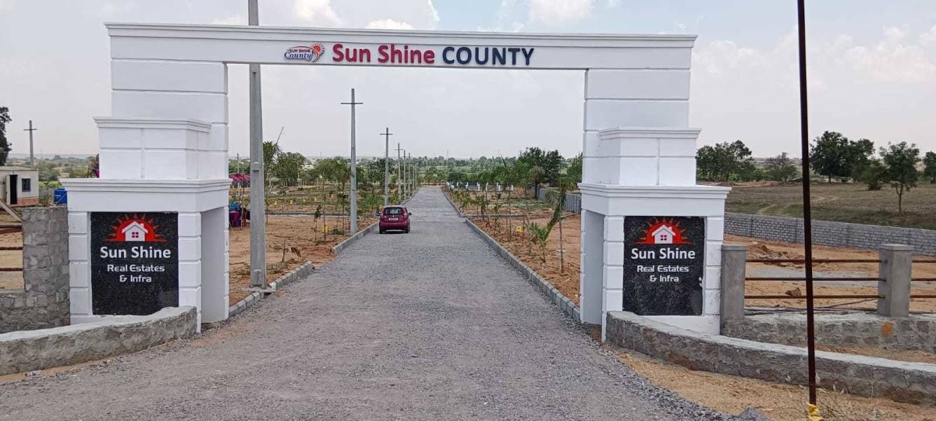  shine county Plot