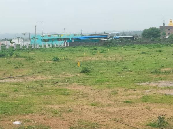  global-village Elevation