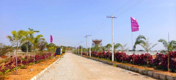  iconia-by-primeland Elevation