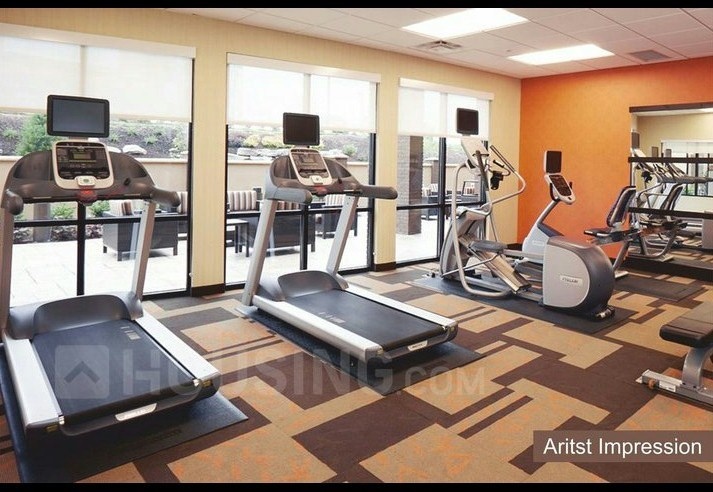  sonar tori phase 1 Gymnasium