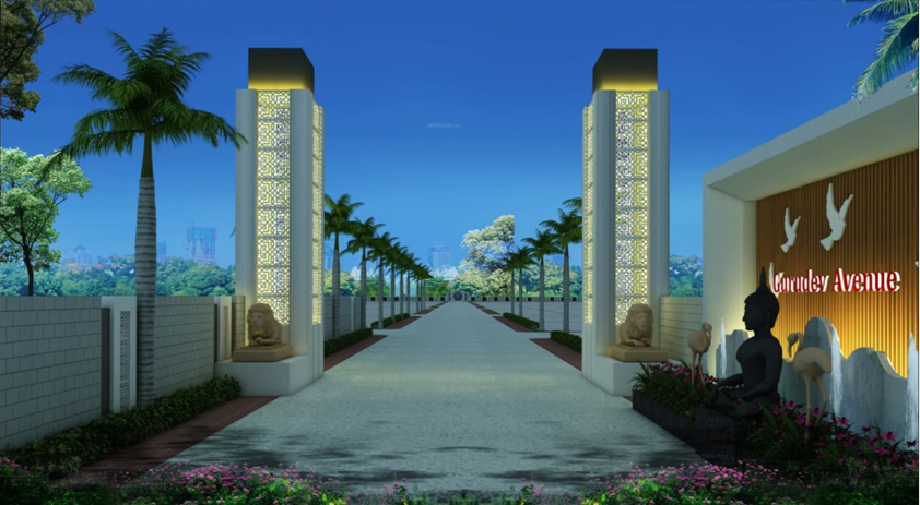Elevation avenue Elevation